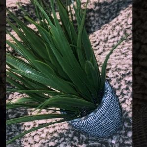 tiny fake plant decor.